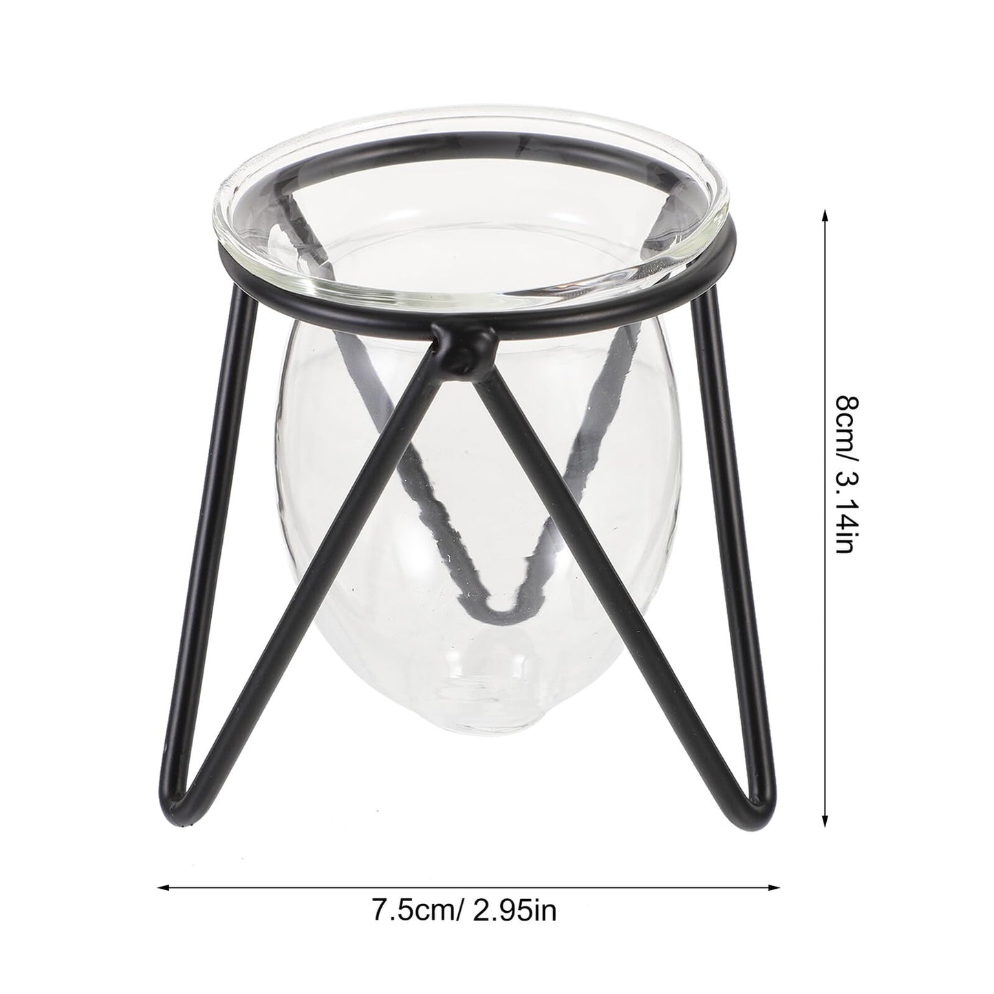 NUOBESTY 6pcs Small Iron Art Flower Stands with Hydroponic Glass Vases for Desktop Plant Decoration and Office Home Hydroponic Terrarium Display