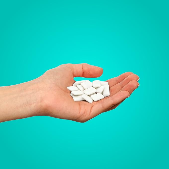 PUR Gum | Aspartame Free Chewing Gum | 100% Xylitol | Natural Wintergreen Flavored Gum, 55 Pieces (Pack of 12)