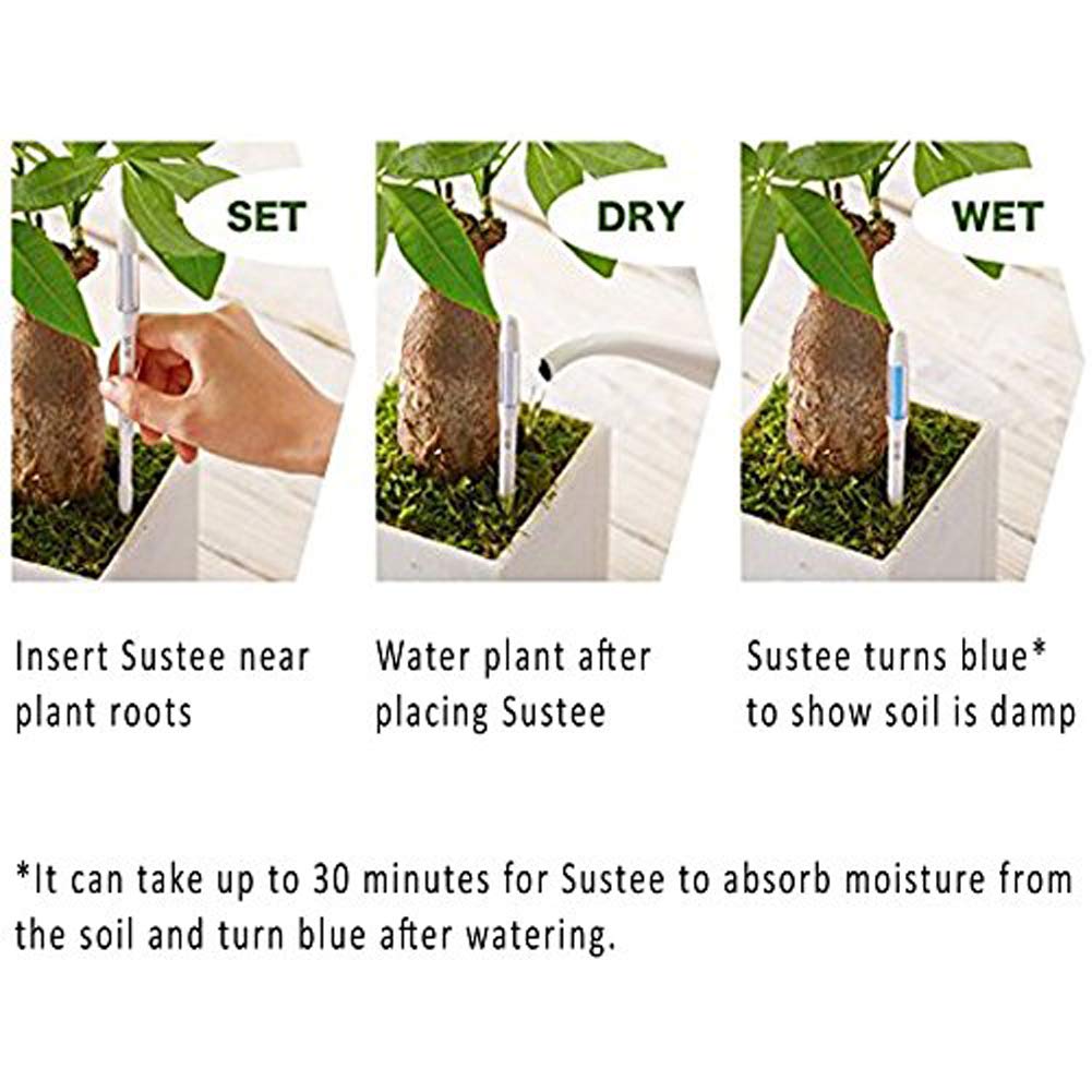 Sustee Medium Refillable Insert Aqua Meter (Green) with Core Installed + 2 Additional Medium Cores - Plant Moisture Sensor For Potted Plants