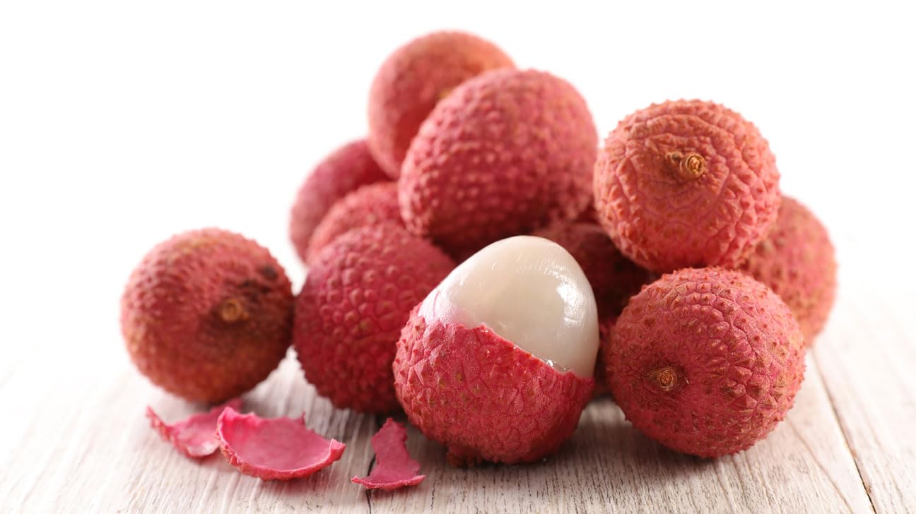 Lychee Fruit Tree Live Plant, Litchi chinensis, Seed Grown 8-12 Inch, Tropical Fruit Tree for Outdoor Growing, USDA Zones 9-11