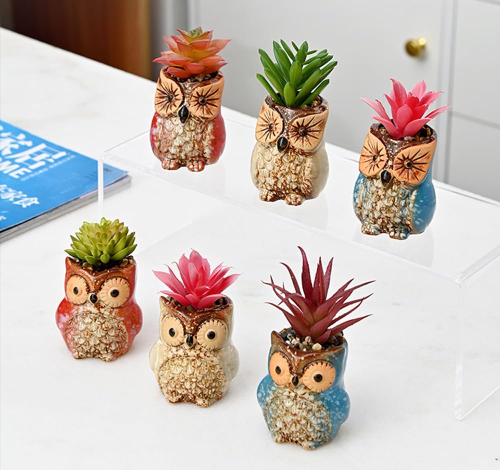 ROSE CREATE 6 Pcs Mini 2.5 Inches Colorful Owl Pots, Little Ceramic Succulent Owl Planters with Drainage Holes