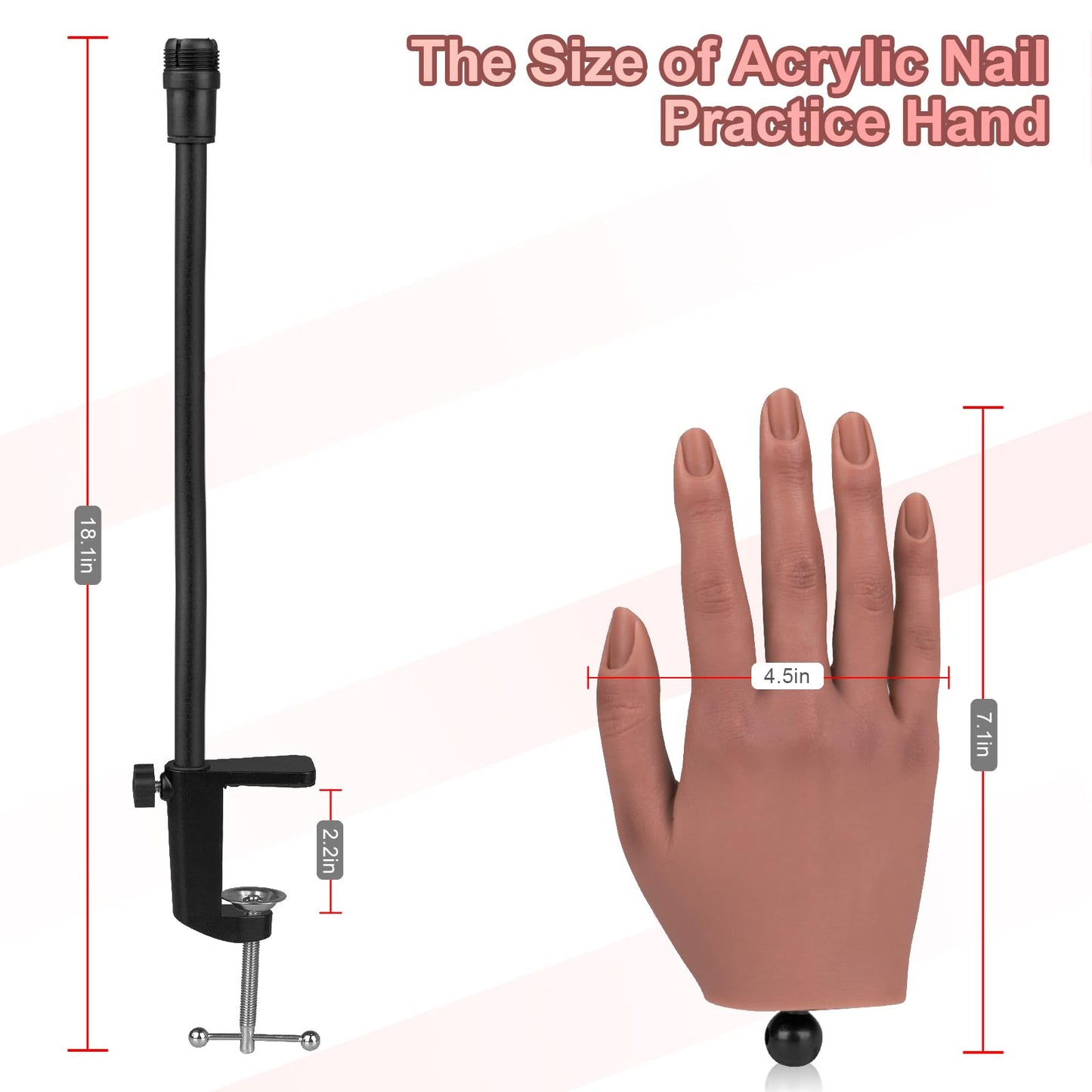 Practice Hand for Acrylic Nails，Nail Practice Hand with Stand Bracket, Flexible Bendable Silicone Nail Practice Fake Hand, Nail Training Mannequin Hand for Acrylic Nails for Beginners, Nail Tech