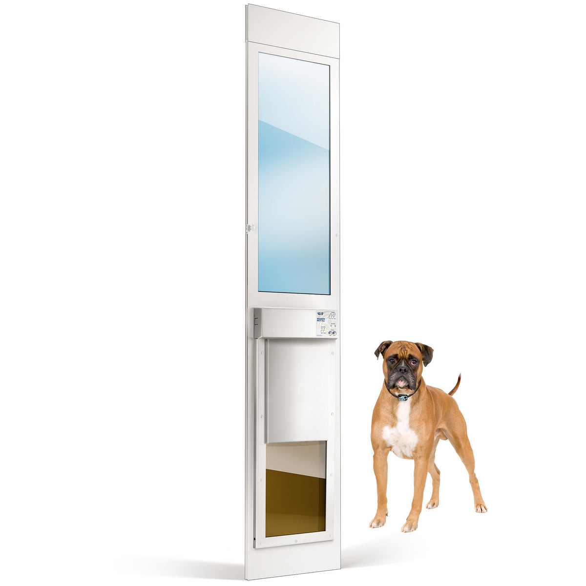 Power Pet Smart Automatic Electronic Pet Door by High Tech Pet (Wall Mount, Large, Non-WiFi)
