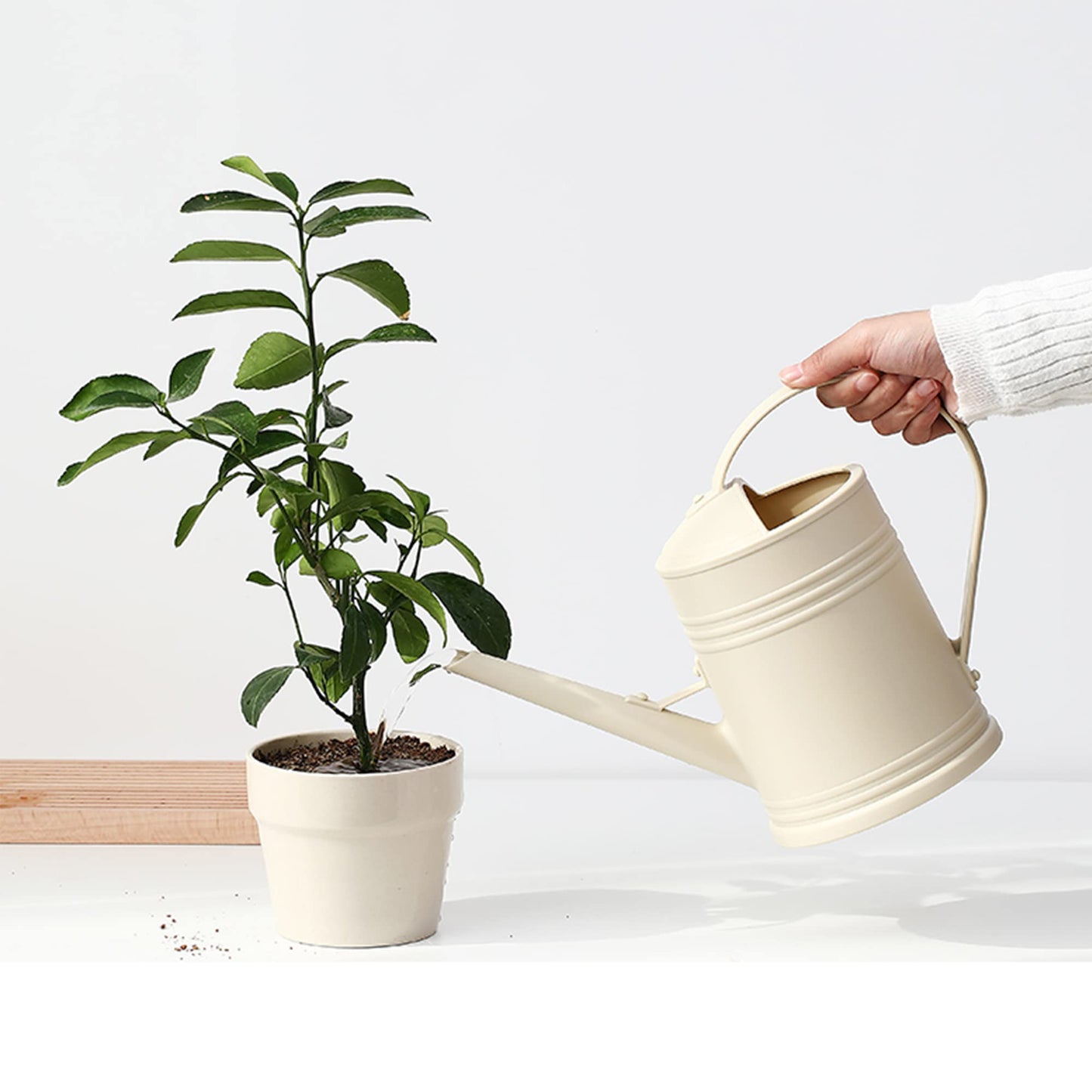 Watering Can for Indoor Plants, Flower Watering Can, Plastic Water Can for Plants with Sprinkler Head 68 oz, 1/2 Gallons