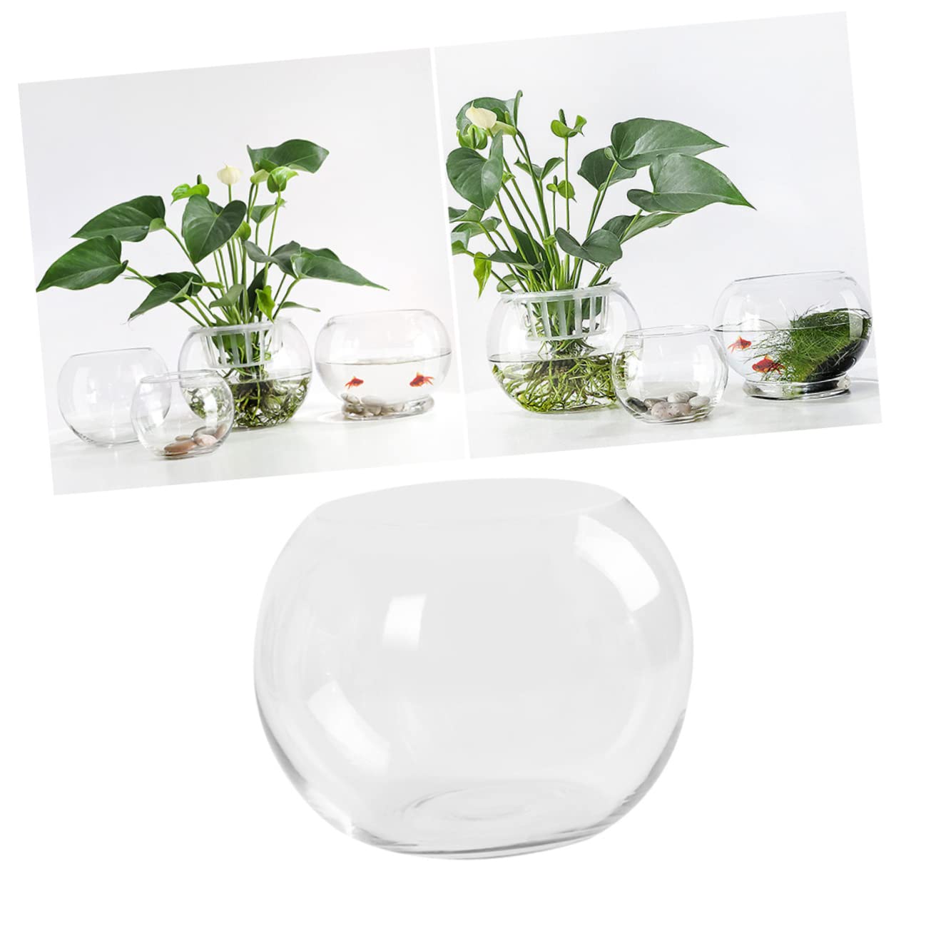 Sosoport Hydroponics Glass Vase Transparent Desktop Flower Pot Smooth Surface Decorative Plant Holder for Home Office Hotel Terrarium Succulent Display