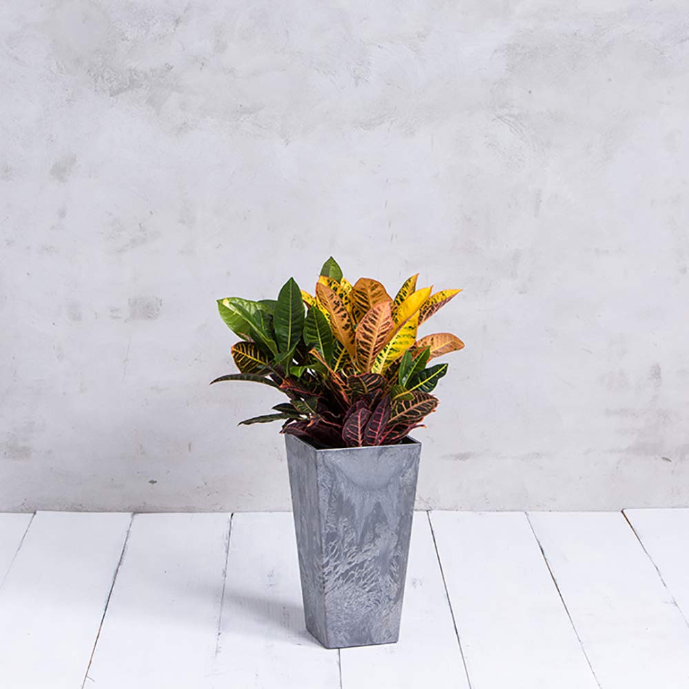 Novelty ArtStone 35190.01 Ella Tall Planter Grey 19.5-inch