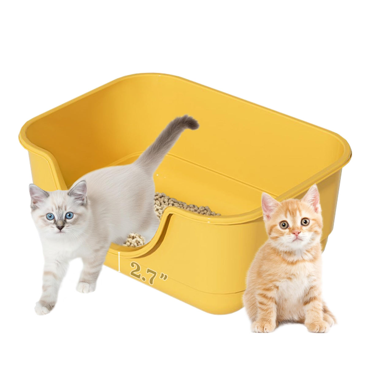 Tehoao 2 Pack Low Entry Small Litter Box for Kittens, Kitty Plastic Litter Boxes, Open Top, Anti-Splash High Sided Litter Tray Pan for Medium Pets, Puppy, Easy to Clean, 15.7"L*11.8"W*6.7"H (Black)