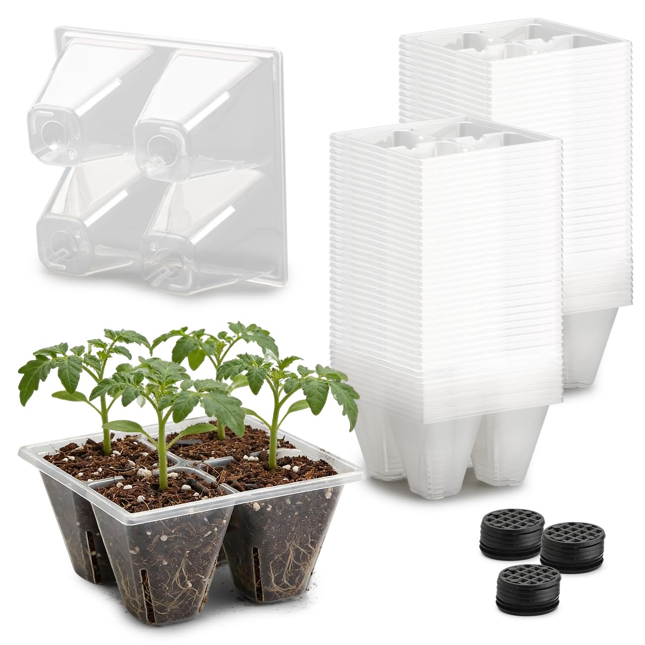 RooTrimmer 80 Pack Reusable 4-Cell Clear Seed Starter Trays - Extra Large Drainage Holes, Easy Transplant, Clear Transparent Tray for Root Observation, Seed Starting, Fits Standard 1020 Flats