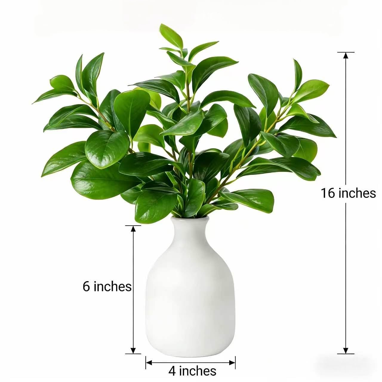 Giftale 16" Artificial Peperomia in White Ceramic Bud Vase Lifelike Two-Tone Green Leaves Faux Plant Table Centerpiece for Indoor Home Office Shelf Desk Bathroom Decor