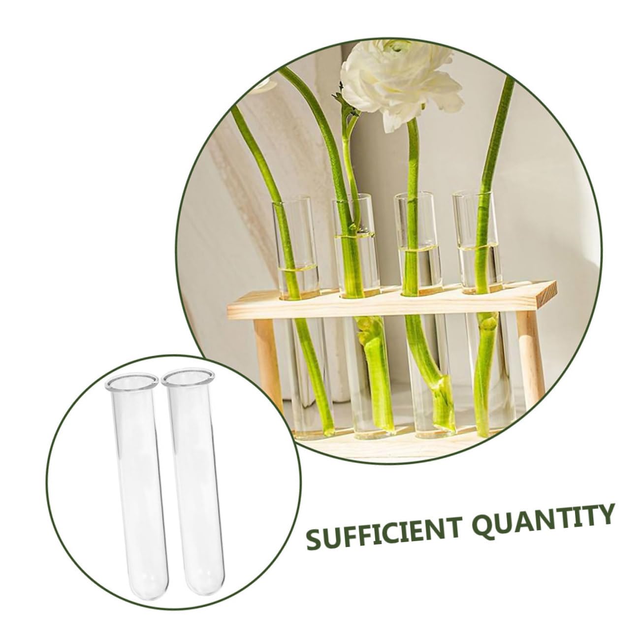 VALICLUD 6pcs Clear Glass Test Tubes for Plants Hydroponics Vase Transparent Flower Tubes Desk Terrarium Water Propagation Decorative Plant Containers