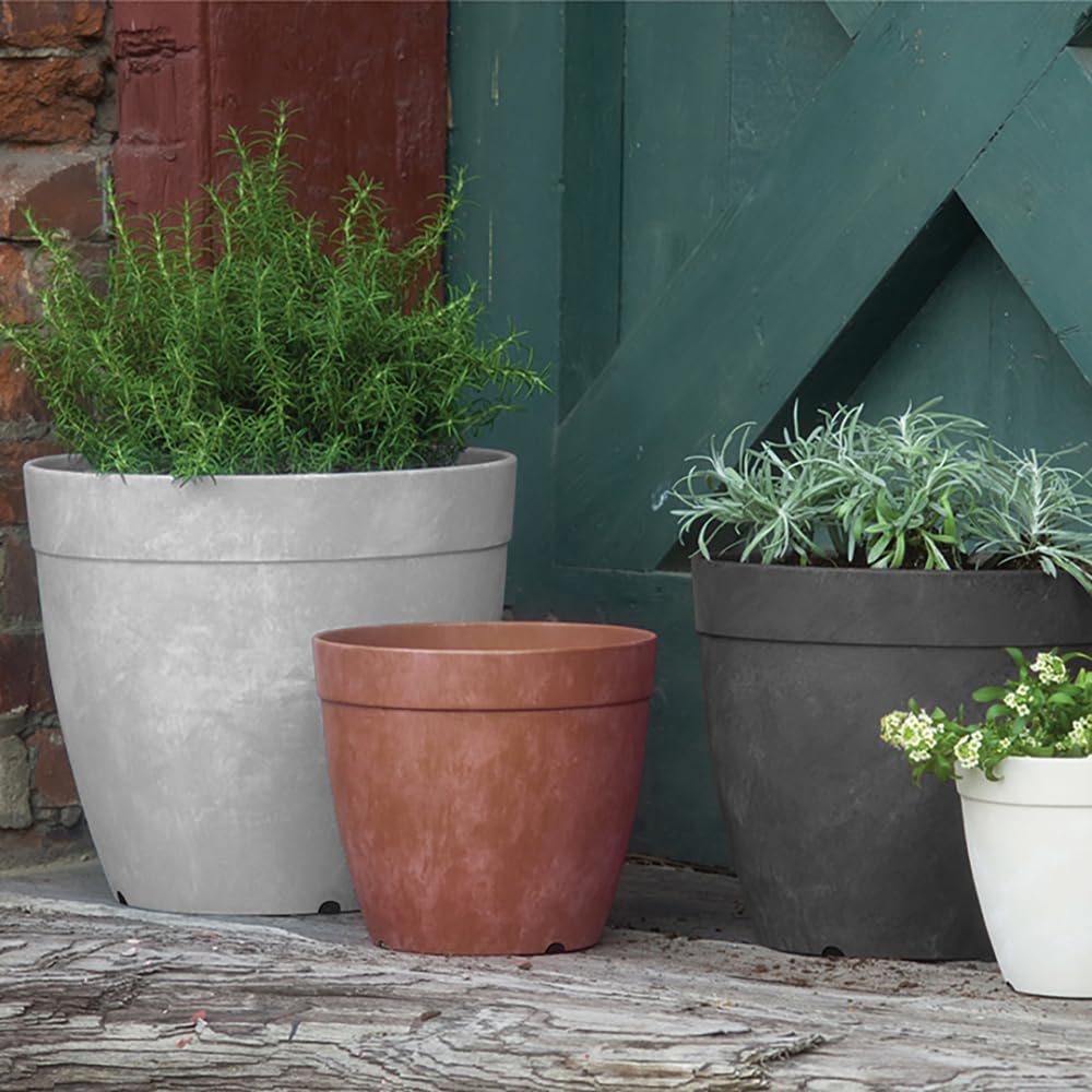 Root & Vessel Dolce Round Planter, Rust, 8"