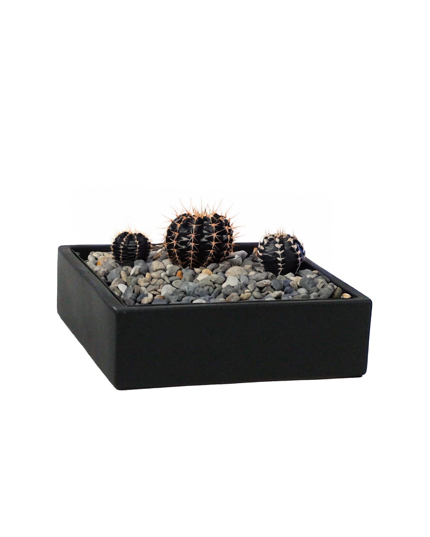 WGVI Black Square Ceramic Vase, Width 10", Height 4", Elegant Morden Short Square Pan Floral Succulent Planter Terrarium Pot Container Tabletop for Accent Home Decor 1 Piece
