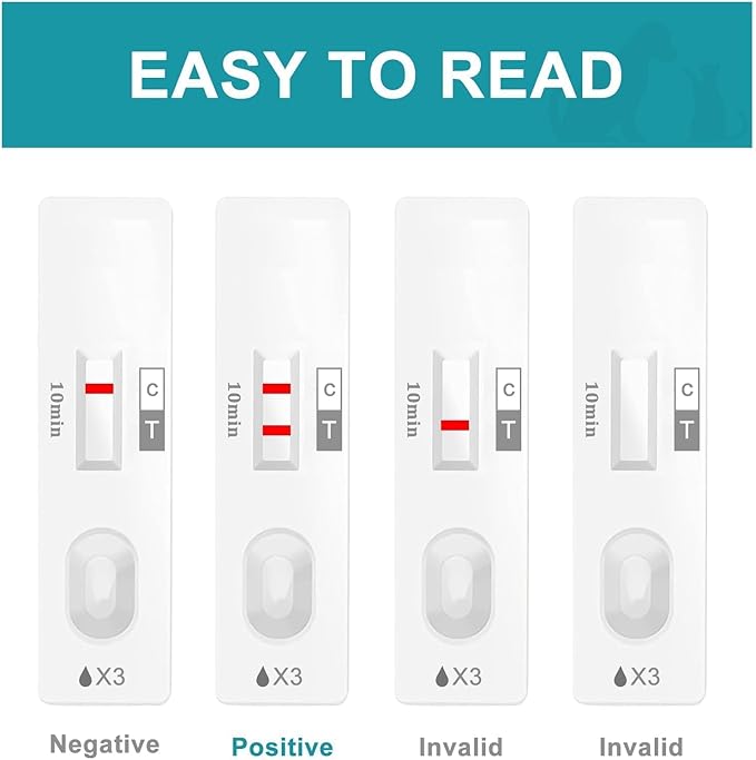 Dog & Cat Pregnancy Test Kit - 98.8% Accurate Urine Test, 2-Count with 10-Minute Results for Early Detection