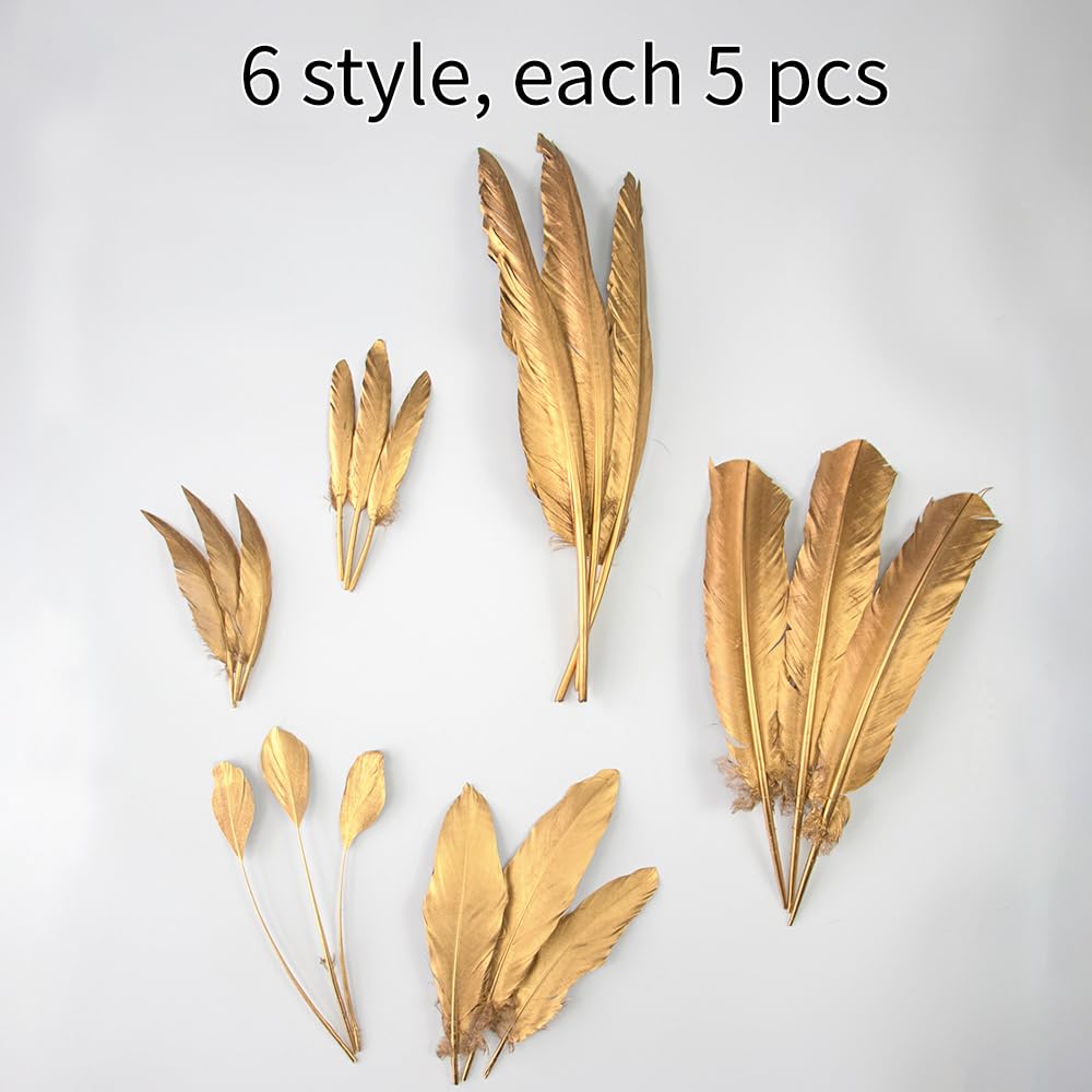 WENCELYL Gold Feather 6styles 30pcs Natural Goose Swan Feathers for Wedding Party Decoration DIY Crafts Halloween Performances Accessories