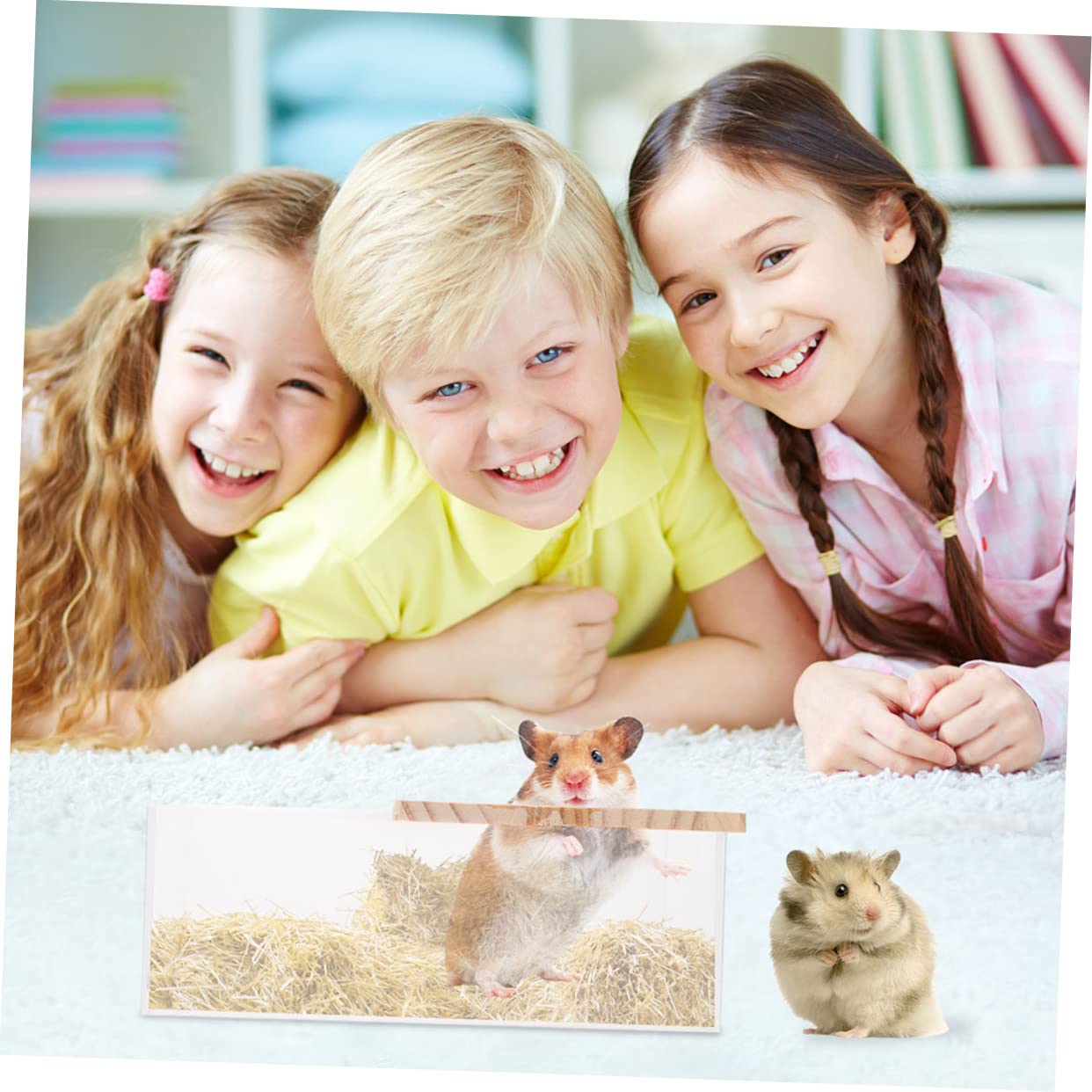 WOONEKY Chinchilla Bath Toy Bin Acrylic Small Chinchilla Bathtub Multi-Function Cage Box Easy Clean Design