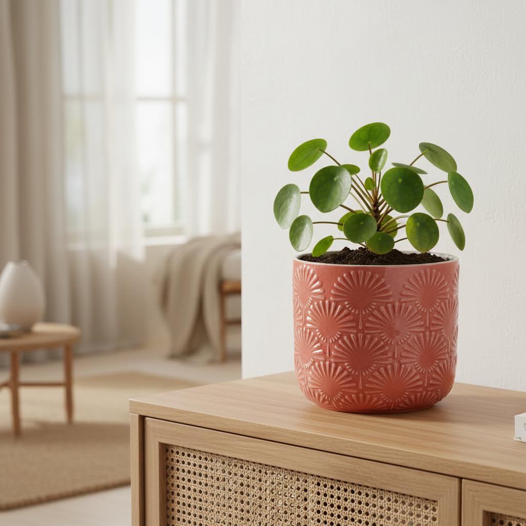 Xiaan Jiaju Boho Embossed Ceramic Flower Pot, 6.7 Inch Modern Planter Pots for Indoor Plants, Bohemian Chic Decorative Glazed Plant Pot with Fanburst Pattern, Coral Blush