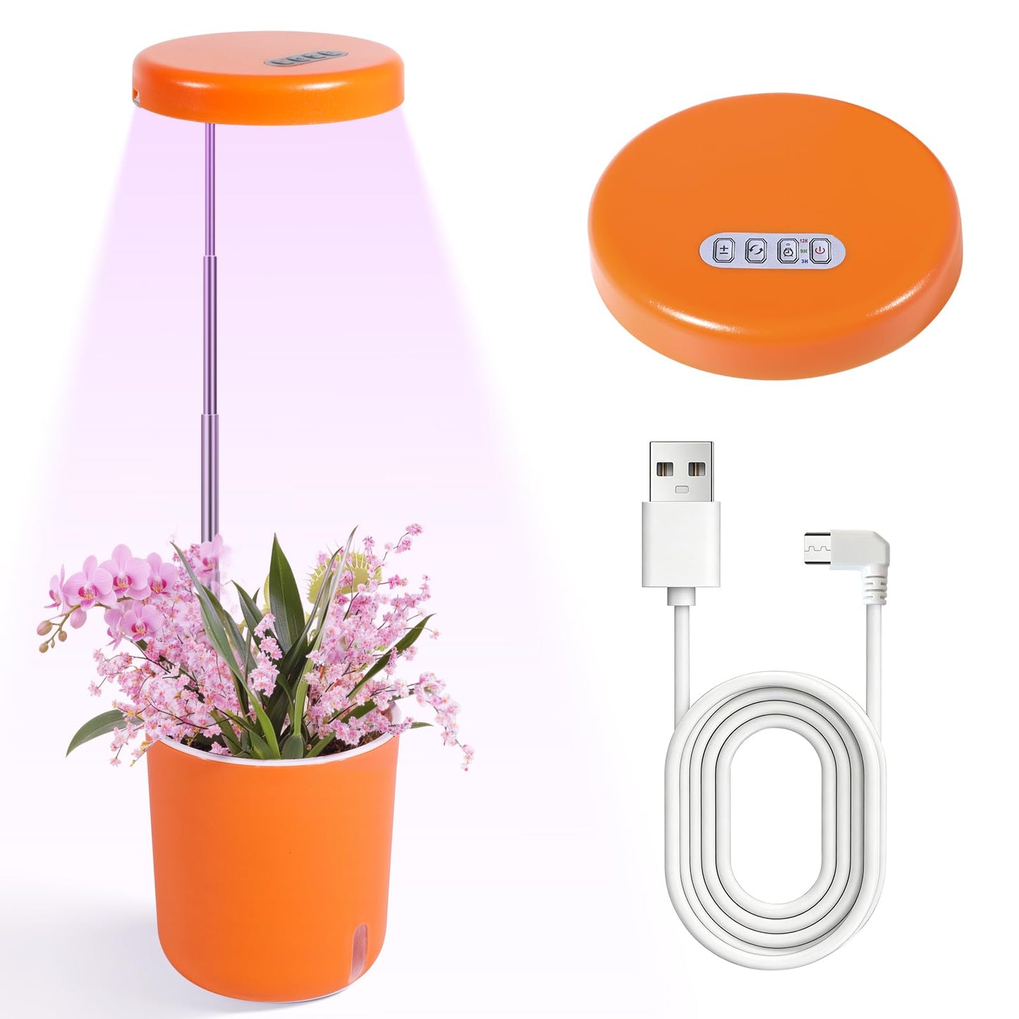 Raygrov Self-Watering Planter with Grow Light — Cute Desk Plant Pot for Office, Bedroom & Window — No Green Thumb Needed, 2-in-1 Wall + Desktop, USB Powered (5W LED, White)