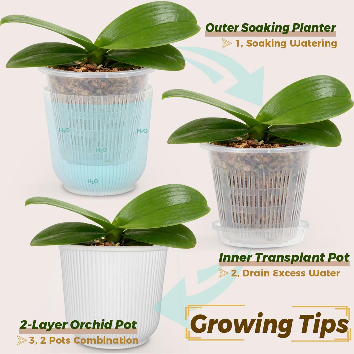 MUZHI 2 Layer Orchid Pot with Holes,Inner Clear Mesh Slotted Basket with Drain Tray 5.4”, Decorative Breathable Plastic Orchid Flower Pot for Indoor and Outdoor Phalaenopsis Growing Container White