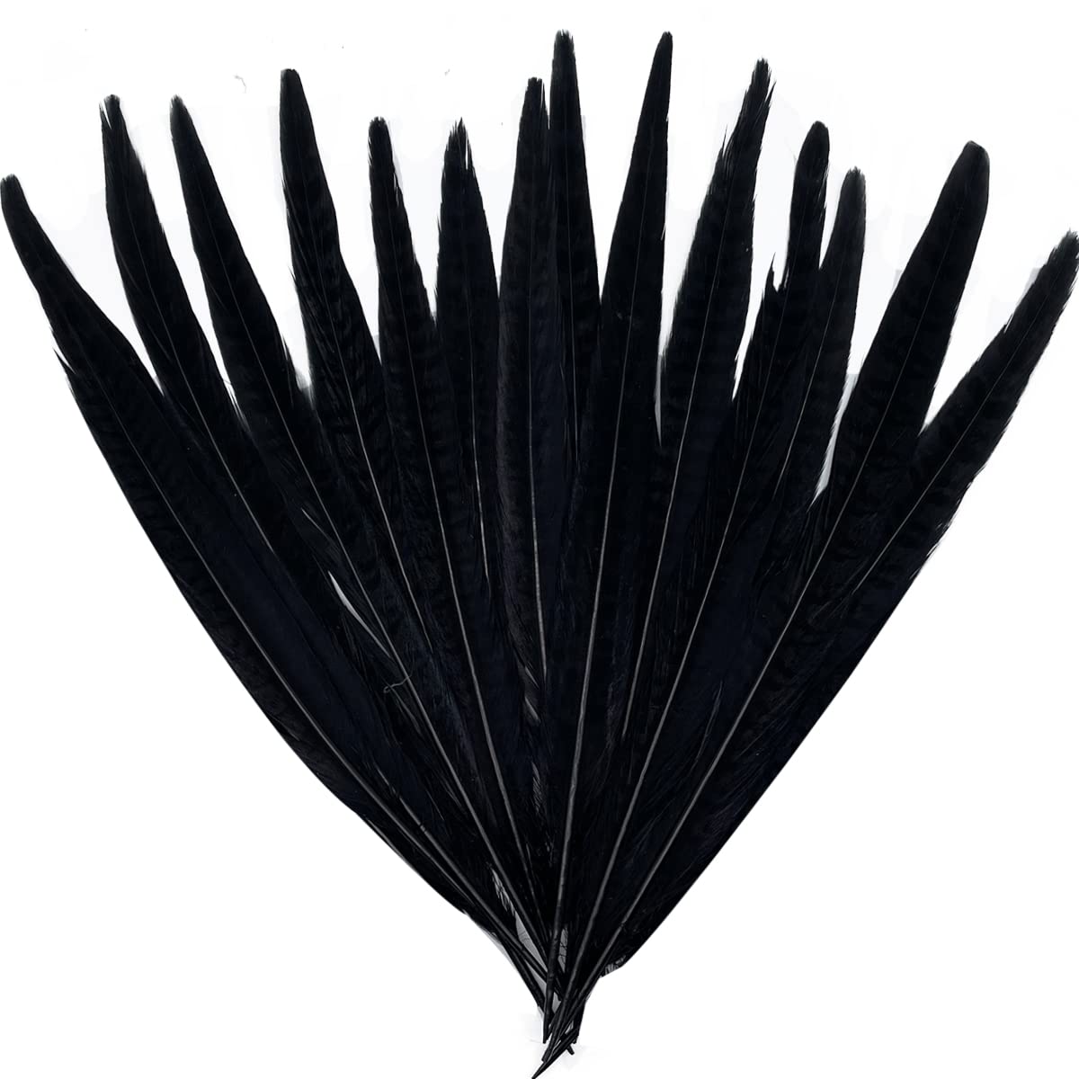 10pcs Black Pheasant Tail Feathers 10"-12" Gothic Decorative Feathers for Dark Edgy Art Projects Halloween Costumes Witchy Cosplay