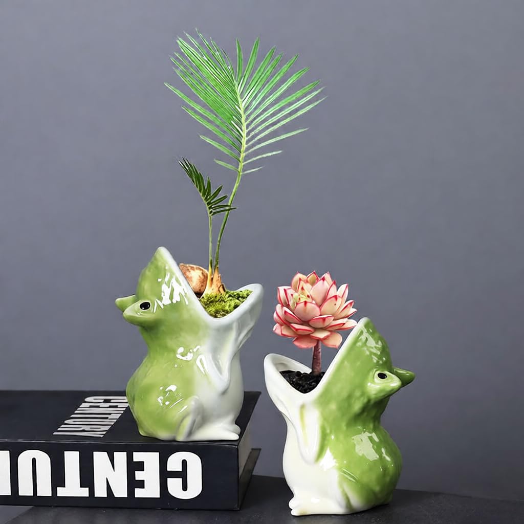 Gemseek Cute Frog Succulent Planter Pot with Drainage Tray, Small Ceramic Cactus Flower Container, Funny Animal Shaped Indoor Air Plants Holder