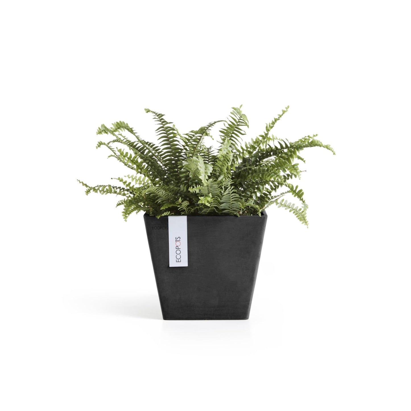 Ecopots Rotterdam Durable Modern Square Indoor/Outdoor Recycled-Based Composite Flower Planter, Dark Grey, 8"