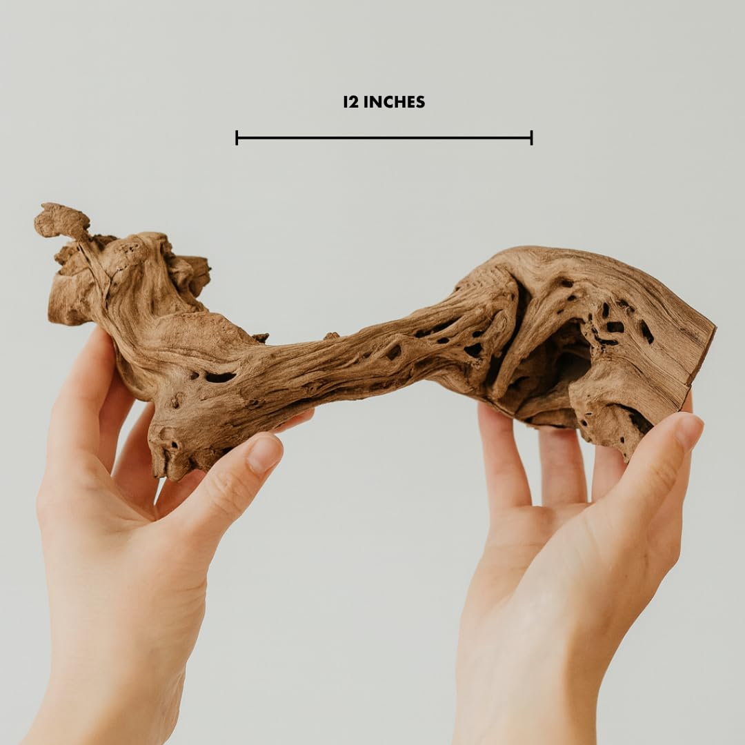 Koyal Wholesale 12" Sandblasted Grapevine Wood for Hamsters, Reptiles Terrarium, Exotic Untreated Grapewood Branch for Decoration Home Wedding DIY
