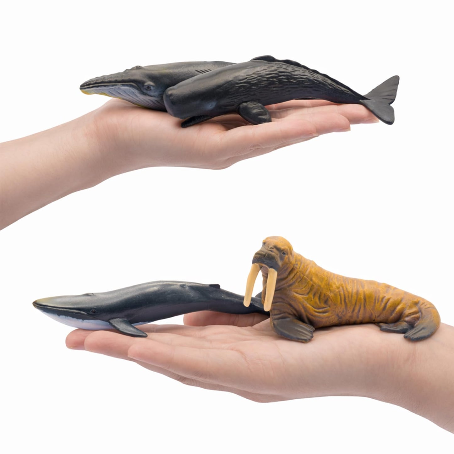 ZECHOCHOZE 37pcs Mini Ocean Animal Figurines Toys, Include Animals Like Realistic Sharks, Whales, Octopus, Turtles, Penguin, Suitable for Children's Parties, Cake Toppers, School Projects