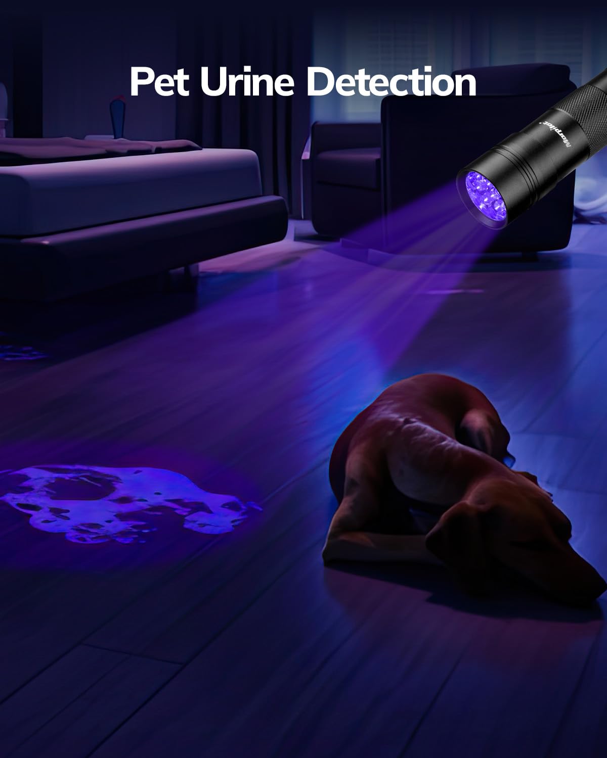 Morpilot UV Blacklight Flashlights - 12 LED 395nm Ultraviolet UV Flashlight, 2 PCS Blacklight Mini for Pet Urine Detection, UV Light for Stains, Bed Bugs, Resin Curing, Scorpions (Batteries Included)