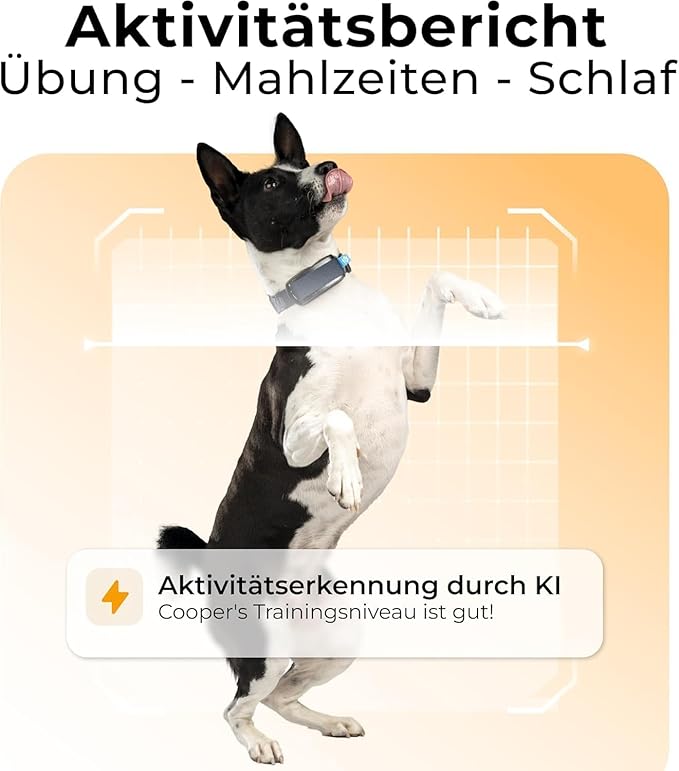 Invoxia Biotracker 2026 Edition (Minitailz)