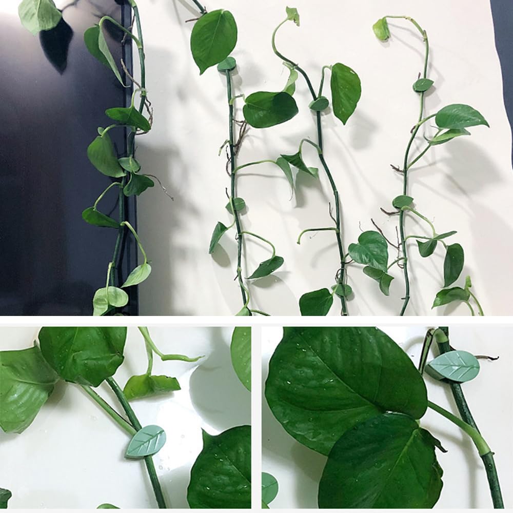 Hulezt Plant Climbing Wall Fixture Clips, 2026 New Plant Clips for Climbing Plants, Green Leaf Shaped Self-Adhesive Plant Wall Clips for Vine Support Traction and Cable Organization (60, Green)