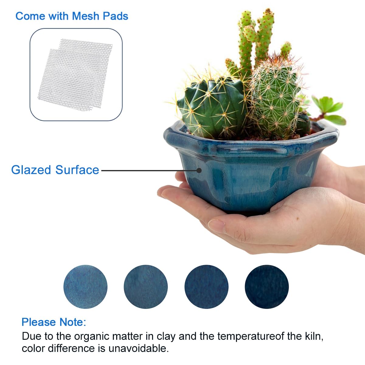 Bonsai Planter Succulent 5" Small Glazed Pots, Value Set of 2 + 4 Soft Mesh Drainage Screens