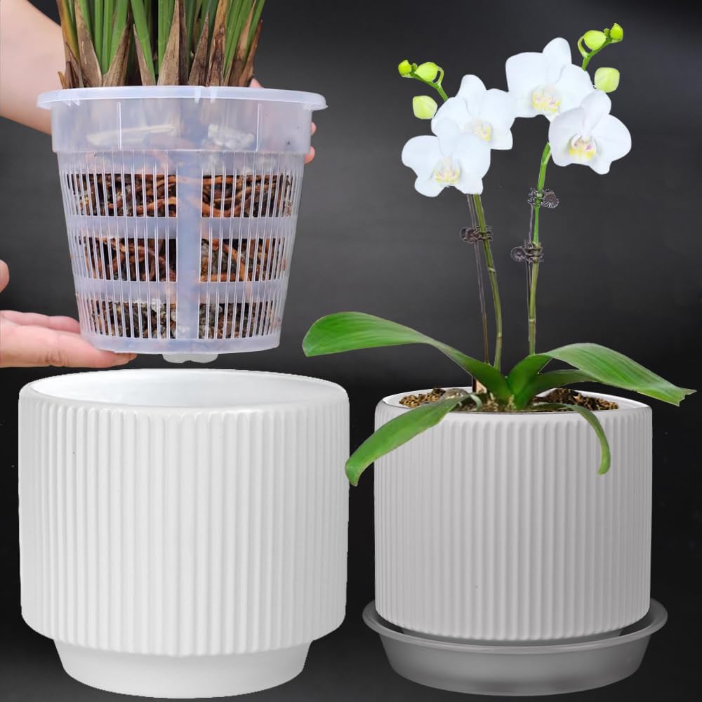 MUZHI Ceramic Orchid Pot with Holes and Drainage Tray Set of 2, 5+6 Inch, Double Layer Orchid Planter with Clear Plastic Inner Net Baskets Pots for Repotting