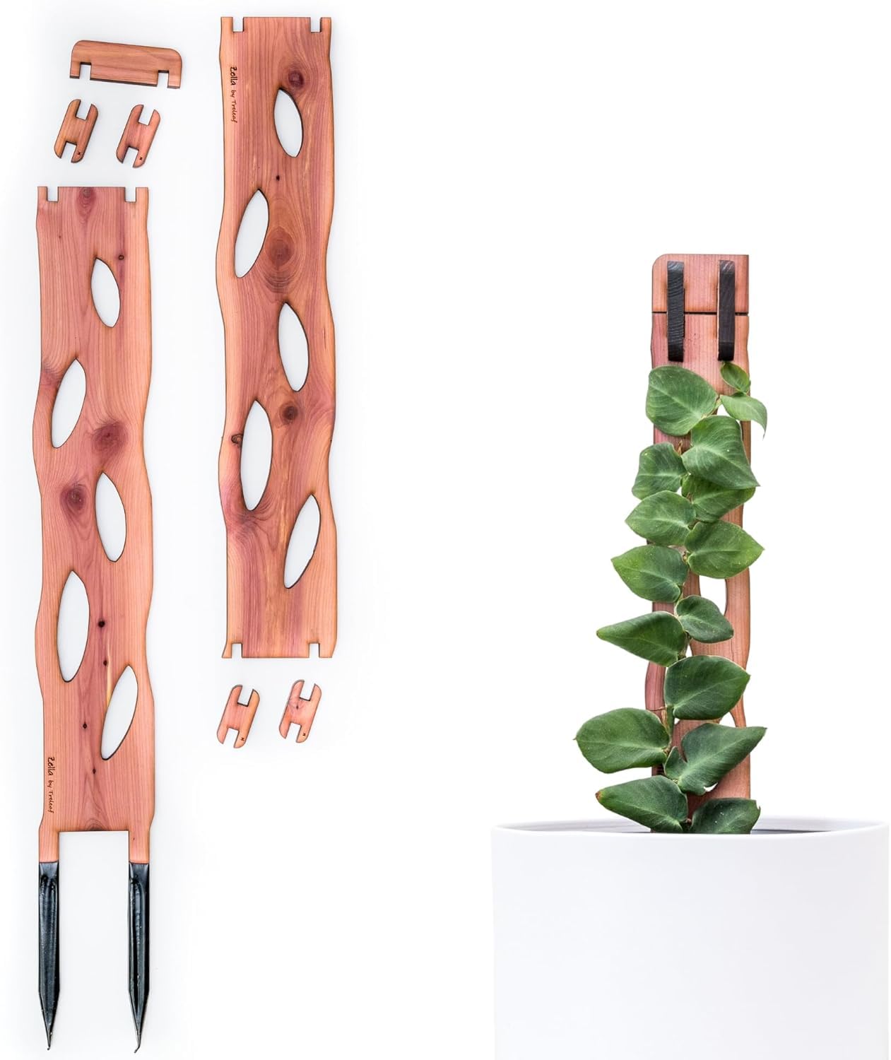 Treleaf Zella Regular Starter Kit – Wooden Extendable Plant Trellis for Indoor Climbing Houseplants – Modular Plant Support with 2 Bases + 2 Extensions - Moss Pole Alternative