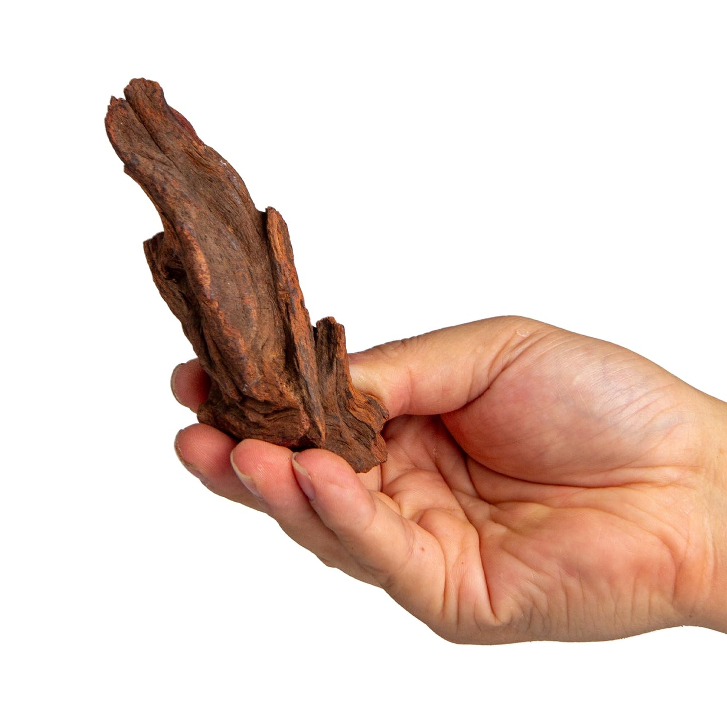 emours Natural Driftwood Small Aquarium Driftwood, 46", Natural Twisted Branches, Low-Tannin, Great for Shrimp/Betta & Nano Aquascapes, Also for Reptile Terrariums (5pcs Pack)