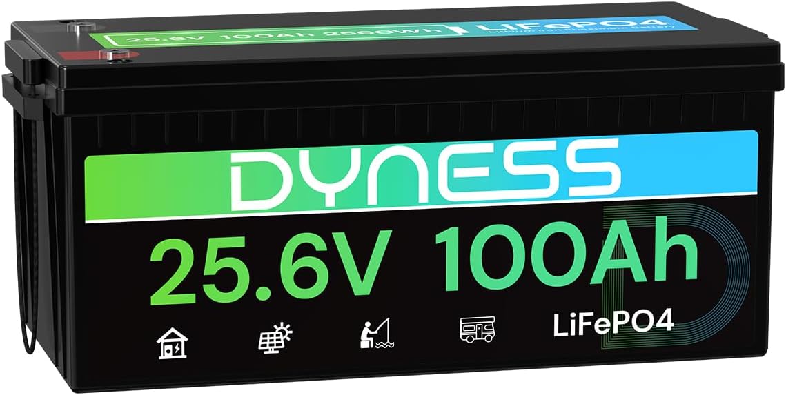24V 100Ah LiFePO4 Lithium Battery, 2560Wh Large Capacity with Smart 100A BMS, 4000+ Deep Cycle, 10-Year Lifetime, Supports 4P2S Connection Up to 20.48kWh, Perfect for RV, Solar System, Marine