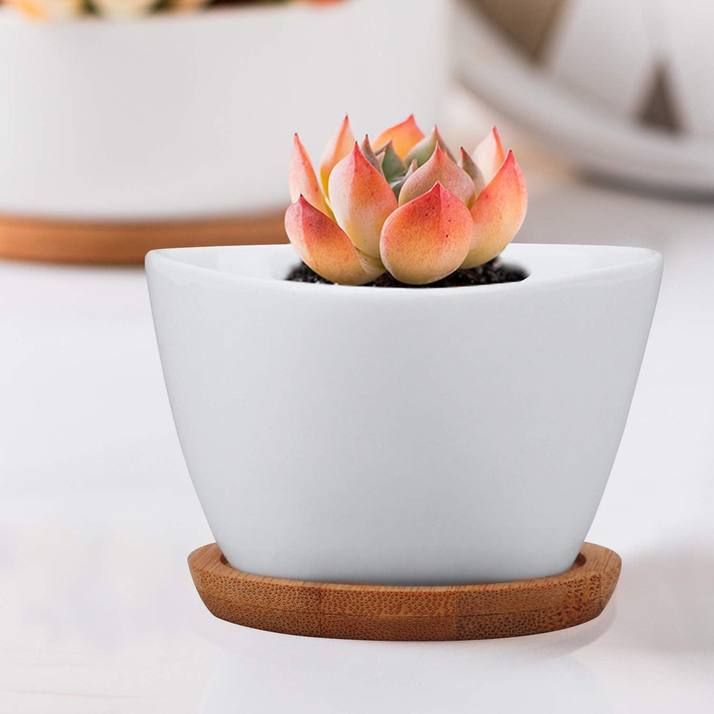 Brajttt Succluent Pots ，Small Flower Pots Planter Pots with Drinage,Ceramic Flowers Pots with Bamboo Tray for Cactus(12 Pack)