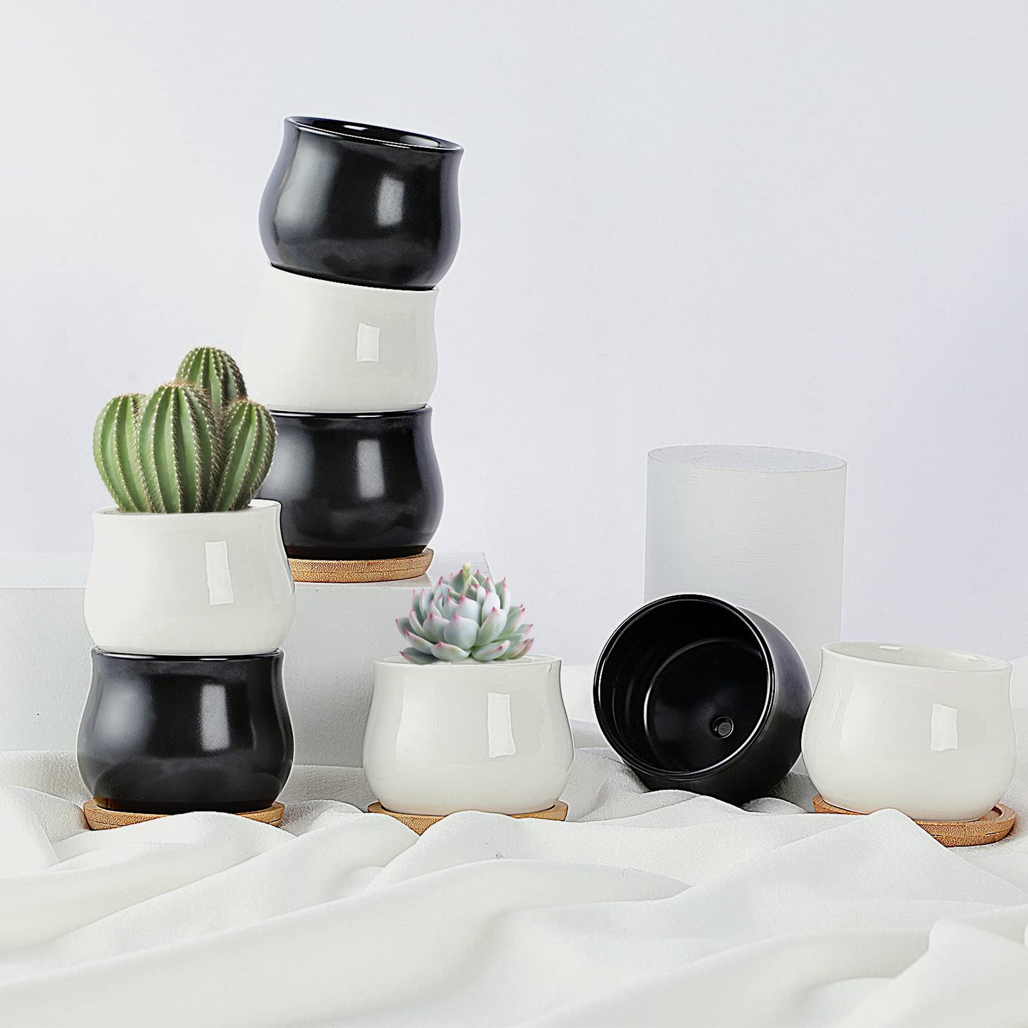 SHECIPIN 12 Pack Succulent Plant Pot, Mini 2.6 inch Ceramic Flower Planter Pot with Bamboo Tray, Small Pots for Plants, Plants Not Included （White, Black）