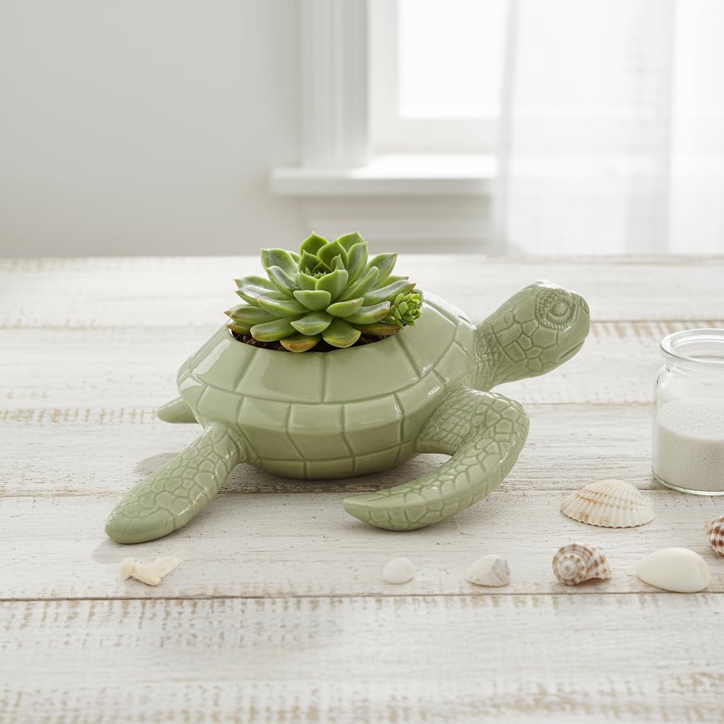 Comfy Hour 9" Sea Turtle Succulent Planter, Decorative Ceramic Turtle Flower Pot for Cactus and Small Plants, Ocean Theme Indoor Outdoor Tabletop Display, Palegreen Dolomite, 1 Unit