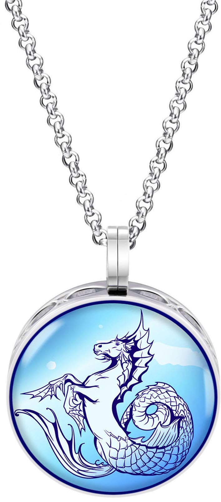 Wild Essentials Water Horse Enamel Finish Essential Oil Diffuser Necklace Gift Set - includes Aromatherapy Pendant, 24" Stainless Steel Chain, 8 Color Refill Pads