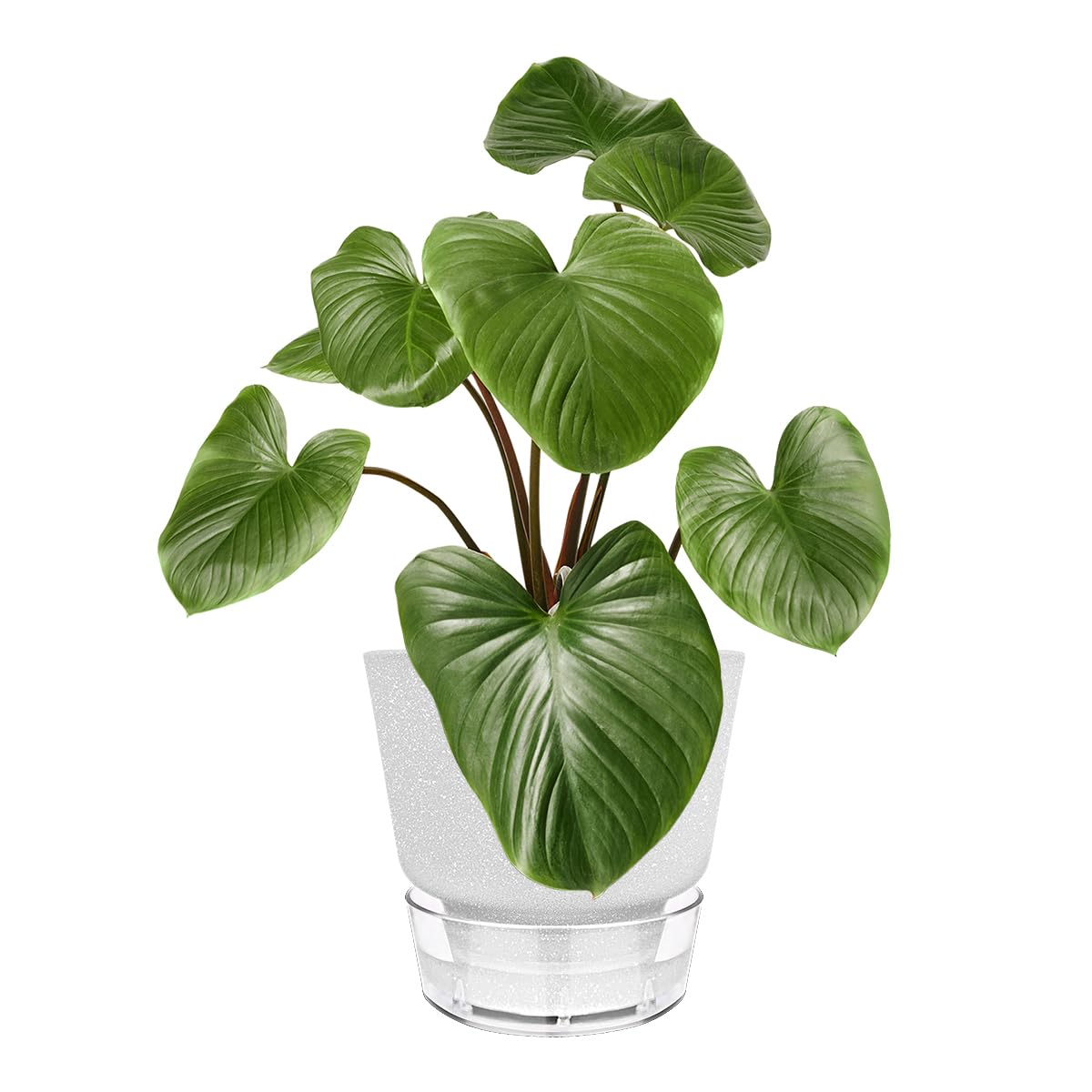 HYNZ 2024 Upgraded 5 Pack 6-Inch Self-Watering Planter Pots with Deep Reservoir for Indoor and Outdoor Plants with Planting Tools (Frosted White)