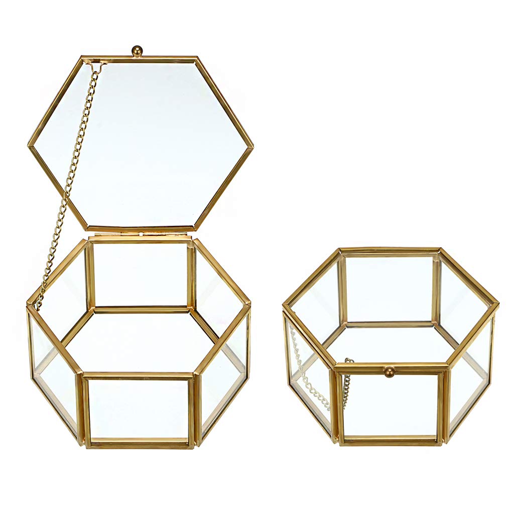 Hipiwe Preserved Flower Glass Box, Hexagon Glass Jewelry Decorative Bin, Ornate Trinket Display Organizer Case Keepsake Box Gift for Women