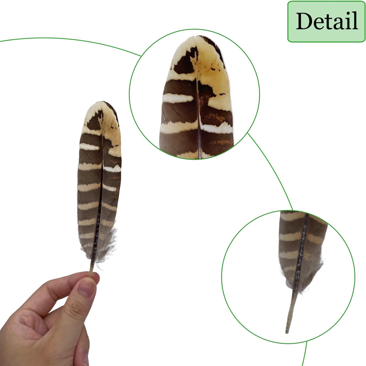 10pcs Natural Spotted Feathers Pheasant Feathers for Craft Clothing Jewelry Accessories Decoration (Small Pheasant Wing Feather 4-6")
