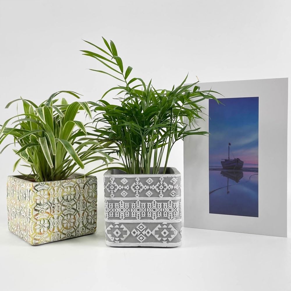 HFlexY5G Flowerpot Square Shaped Flower Pot with Drainage Holes, Grey Background White Embosse Pattern Cement Plant Pot, for Balcony Living Room Bedroom Pots for Plants(Large)