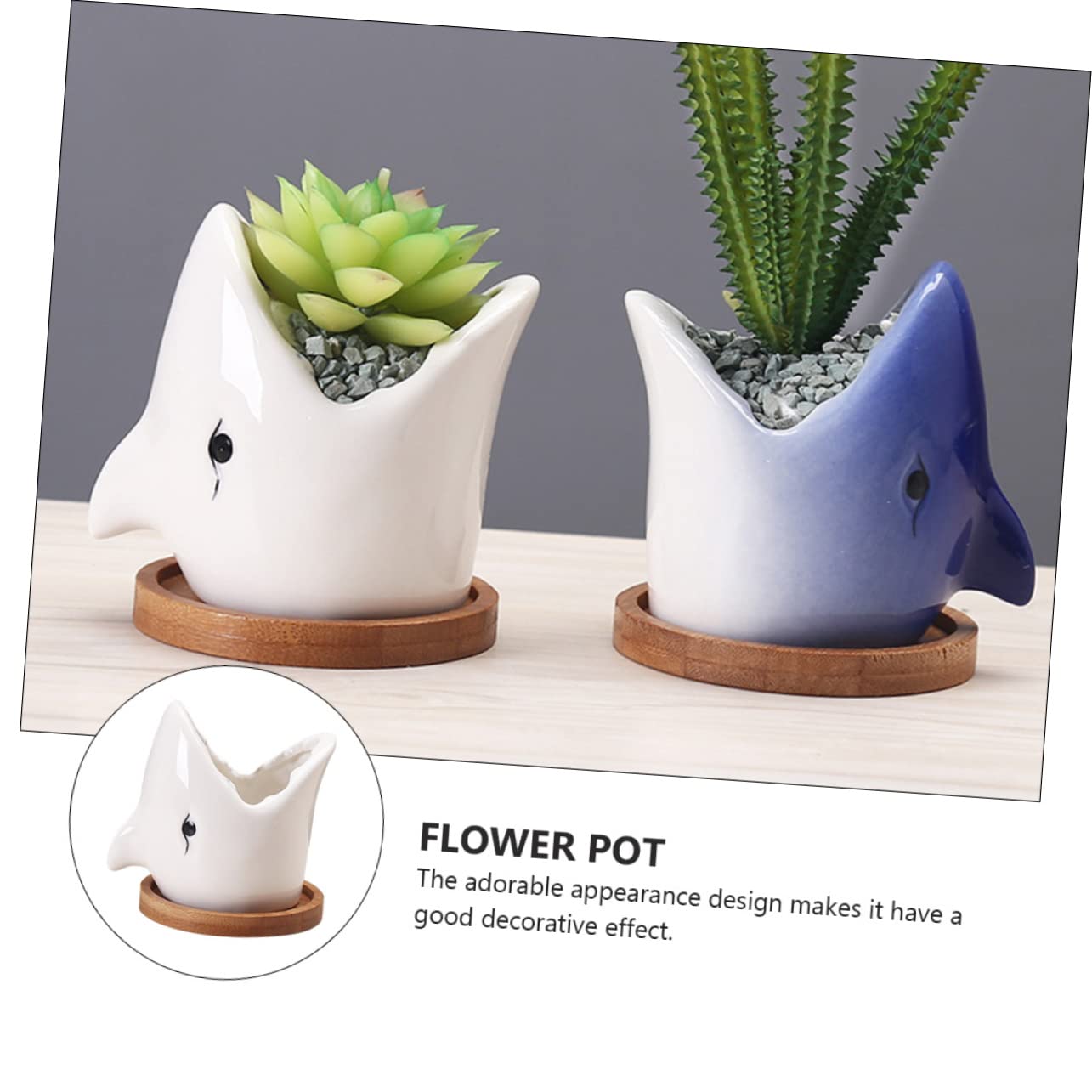 OFFSCH Adorable Ceramic Succulent Flowerpot Unique Big Mouth Shark Design for Indoor Decor Present for Friends and Planter