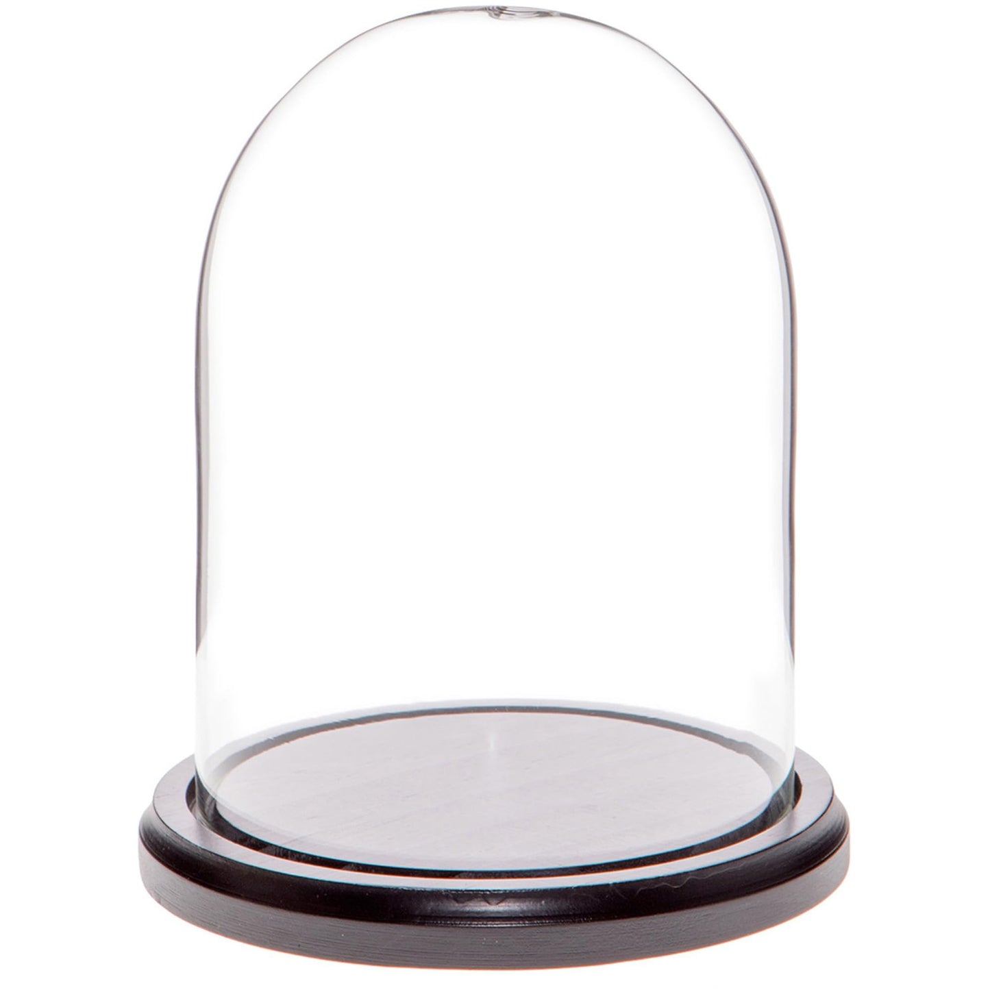 Plymor 4.5" x 6" Glass Display Dome Cloche (Black MDF Wood Base)