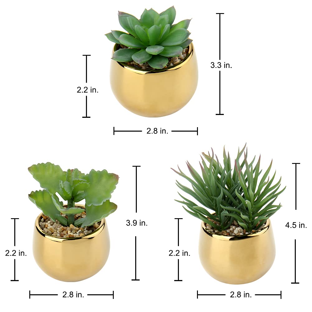 Briful Small Artificial Succulents in Pots Set of 3 Realistic Faux Succulents Plants with Gold Ceramic Pots Cute Mini Fake Plants Decor for Modern Home Table Office Desk Bathroom Shelf Decoration