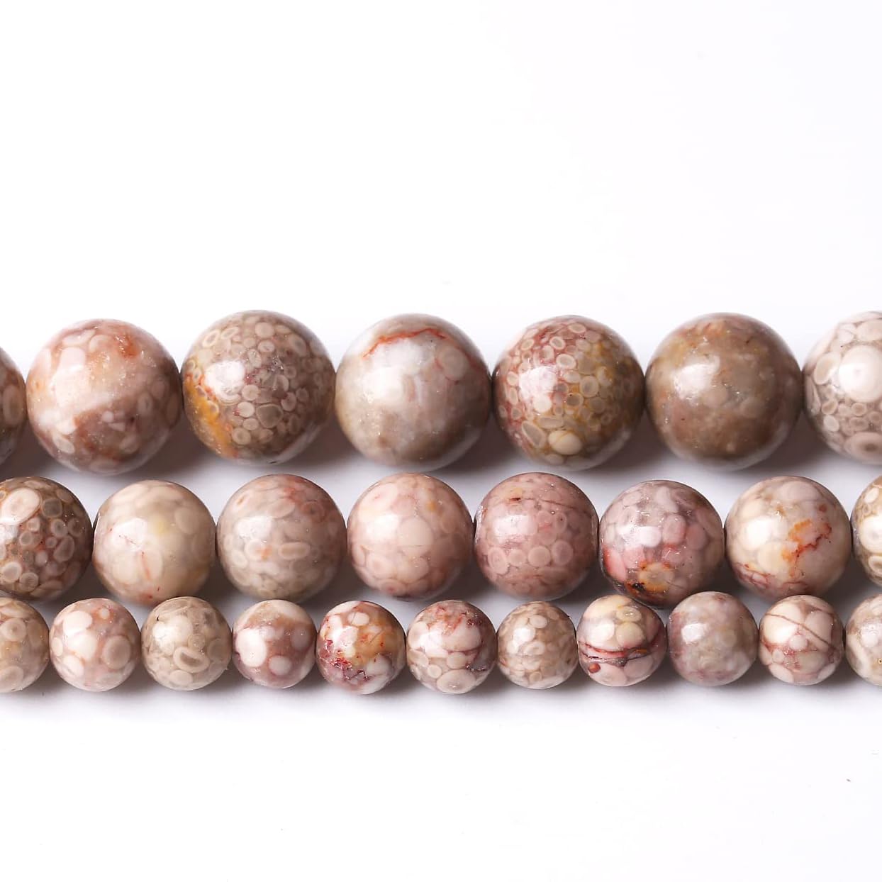 48PCS 8MM Natural Flowery Cowry Fossil Stone Beads Energy Healing Beads for DIY Jewelry Bracelet Necklace Making for Jewelry Making15Inch