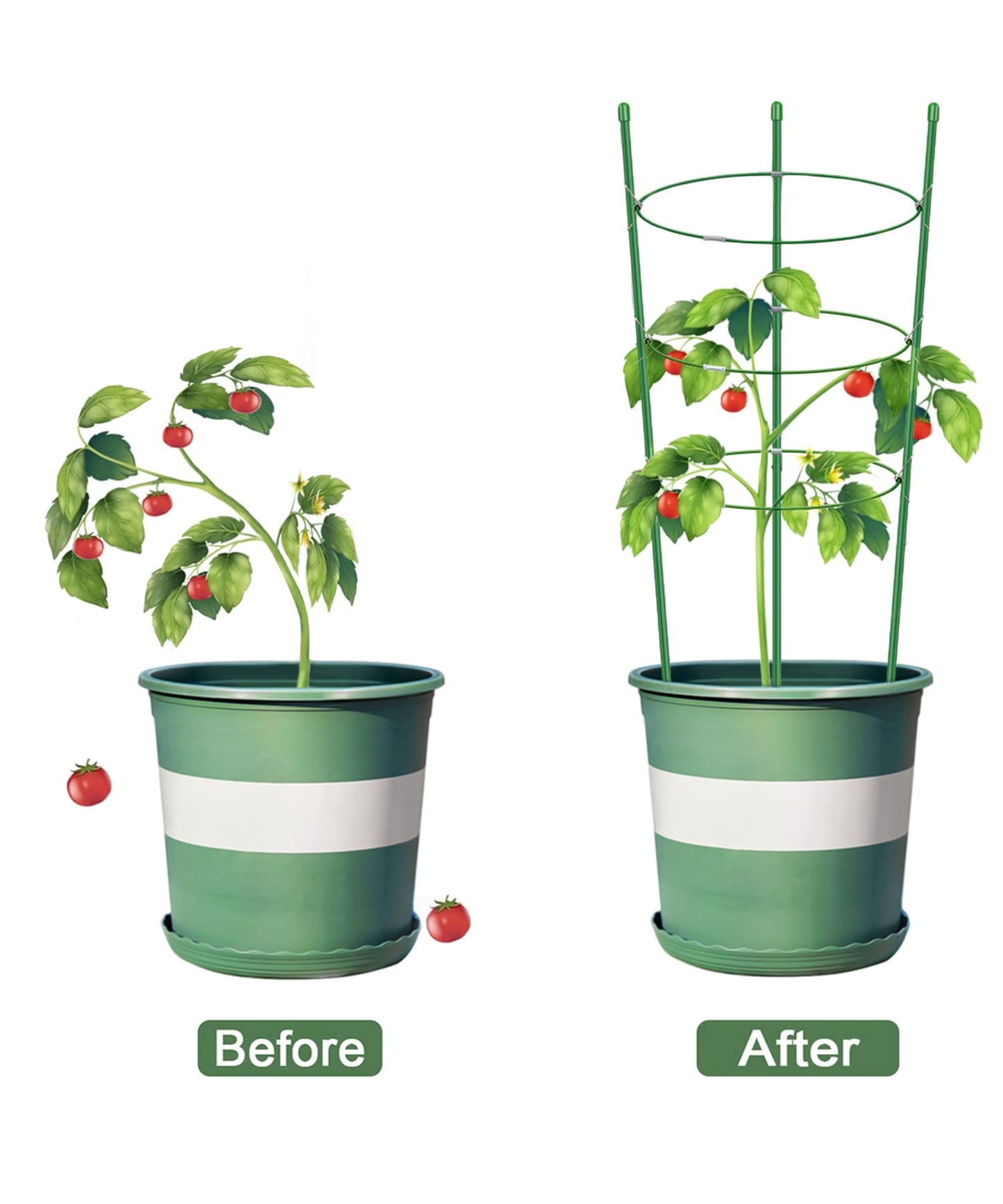 Alliico Plant Support Cages for Climbing Plant 20" Flower Cherry Tomato cage with Stand Stakes and Stable Support Rings, 3 Pack with 12 Clips (20")