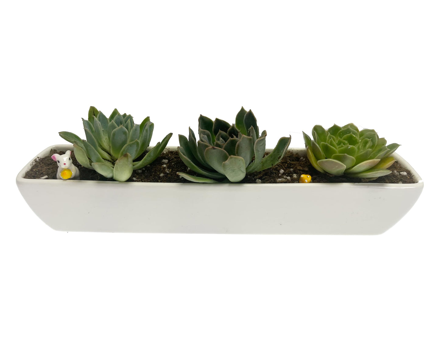 Kipokalor White Ceramic Succulent Planter Pot,one Set of 10.9x2.36x1.65inch Long Rectangular Modern Minimalist with Ceramic Saucer for Office,Desk,Window. (1)