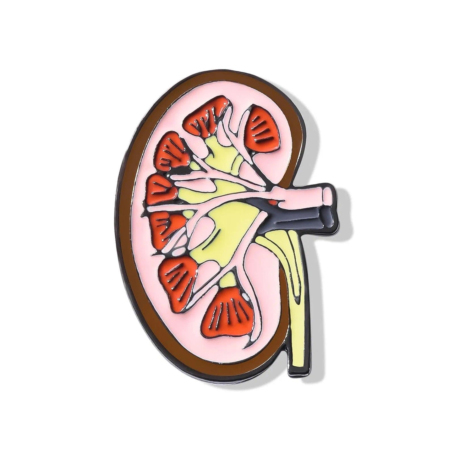 Dr's gift Kidney Anatomy Enamel Brooch Pin Nephrology Cross Section Lapel Badge Jewelry for Nephrology Doctors Nurses Biologists Student Gift White Coat Accessory